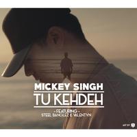 Tu Kehdeh (feat. Steel Banglez & Valentyn)