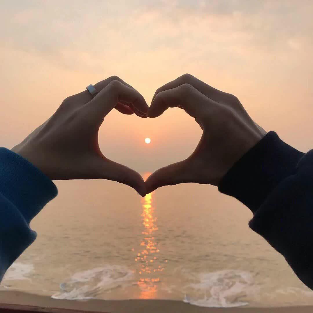 C的孤独封面