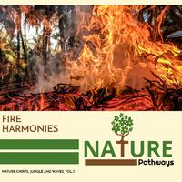 Fire Harmonies - Nature Chirps, Jungle and Waves, Vol.3