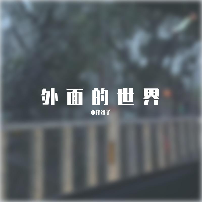外面的世界