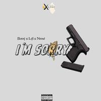 I'm sorry (feat. Lyl & Nmw)