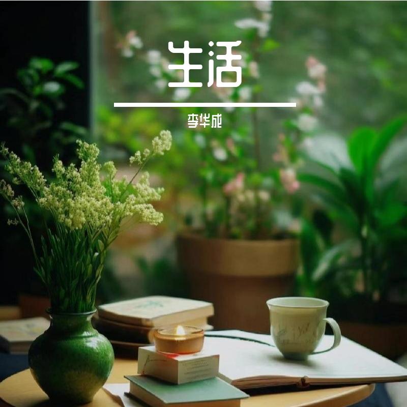 时光小偷封面