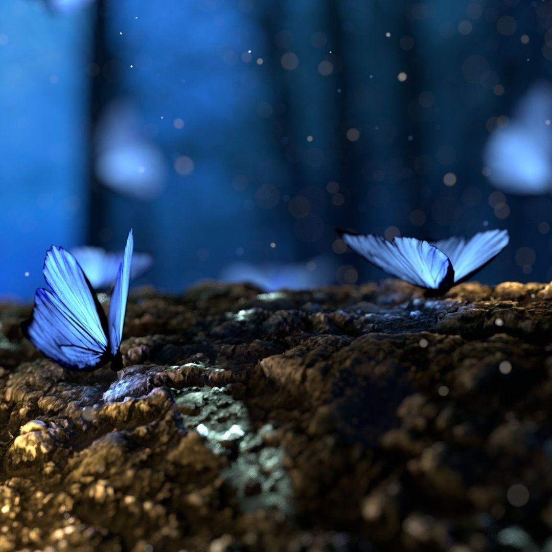 Butterfly Effect_jasonss_Butterfly Effect | 在线播放_Butterfly Effect歌词_Butterfly Effect下载 | 网易云音乐
