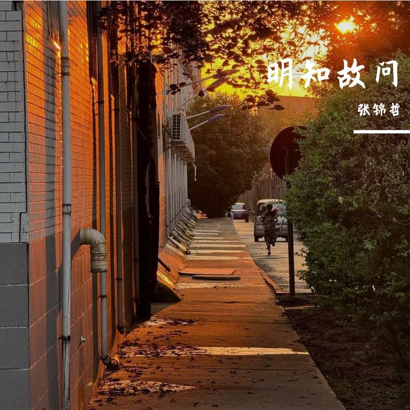 明知故问封面