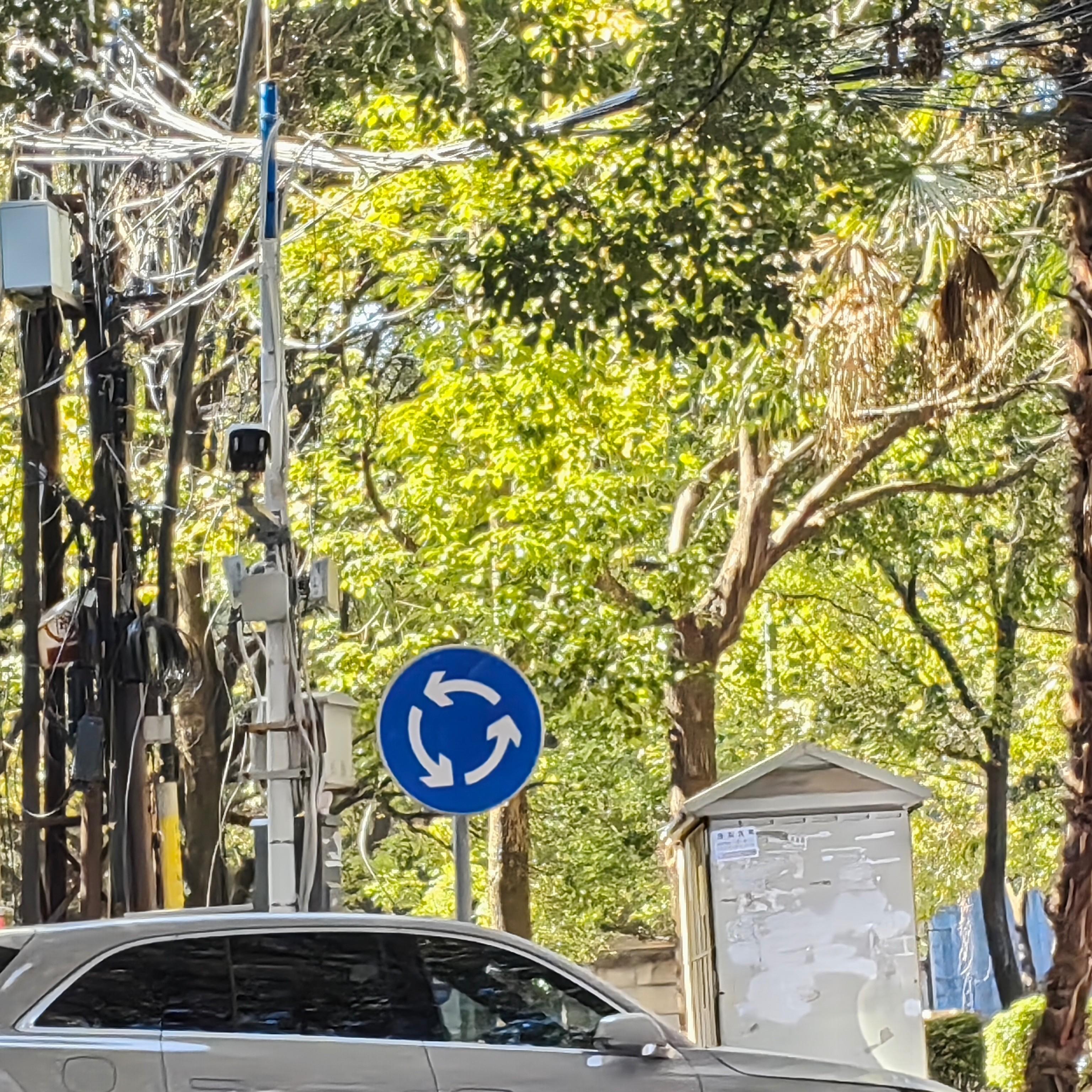 枯叶蝶封面
