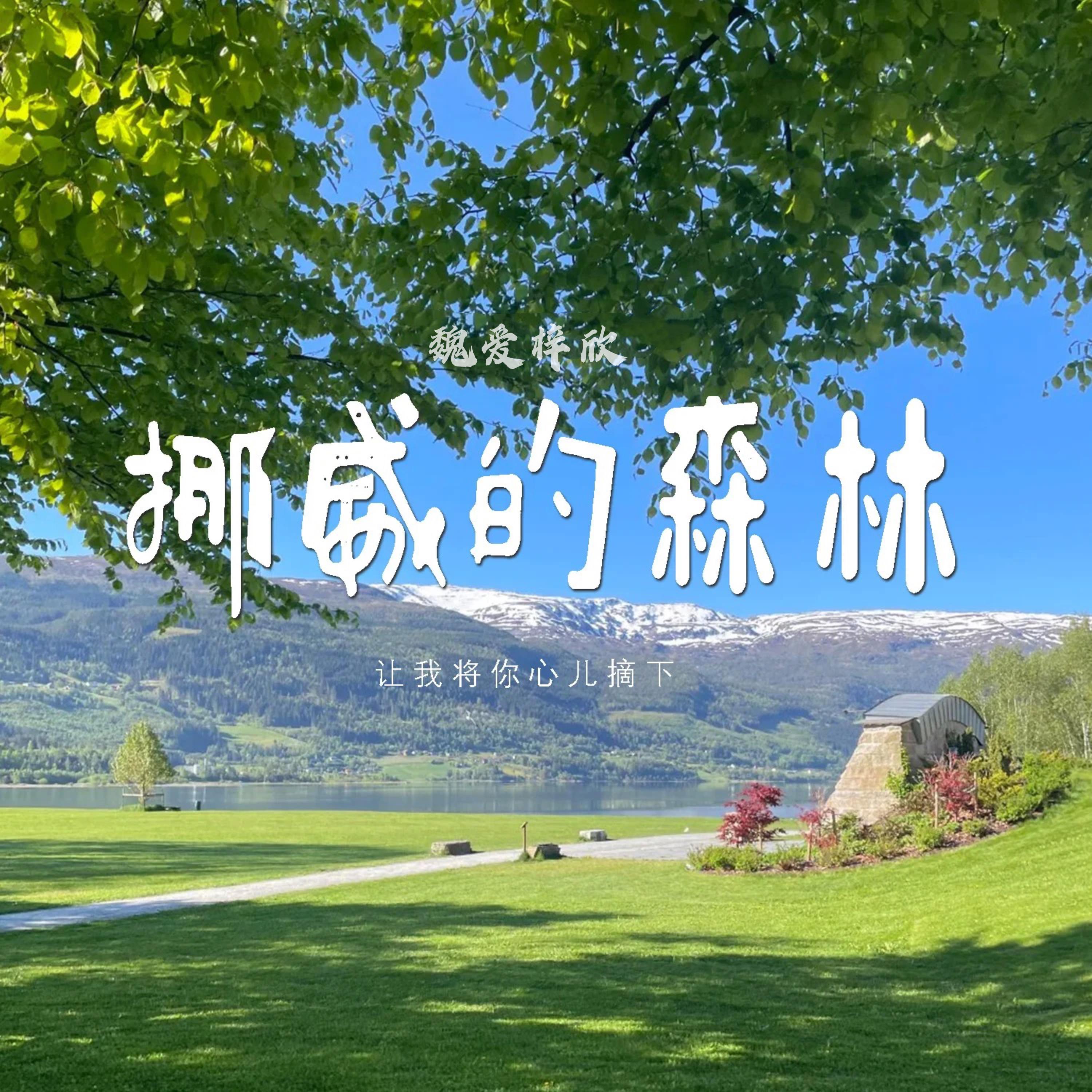 挪威的森林（你说真心总是可以从头）封面
