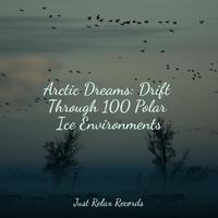 Arctic Dreams: Drift Through 100 Polar Ice Environments