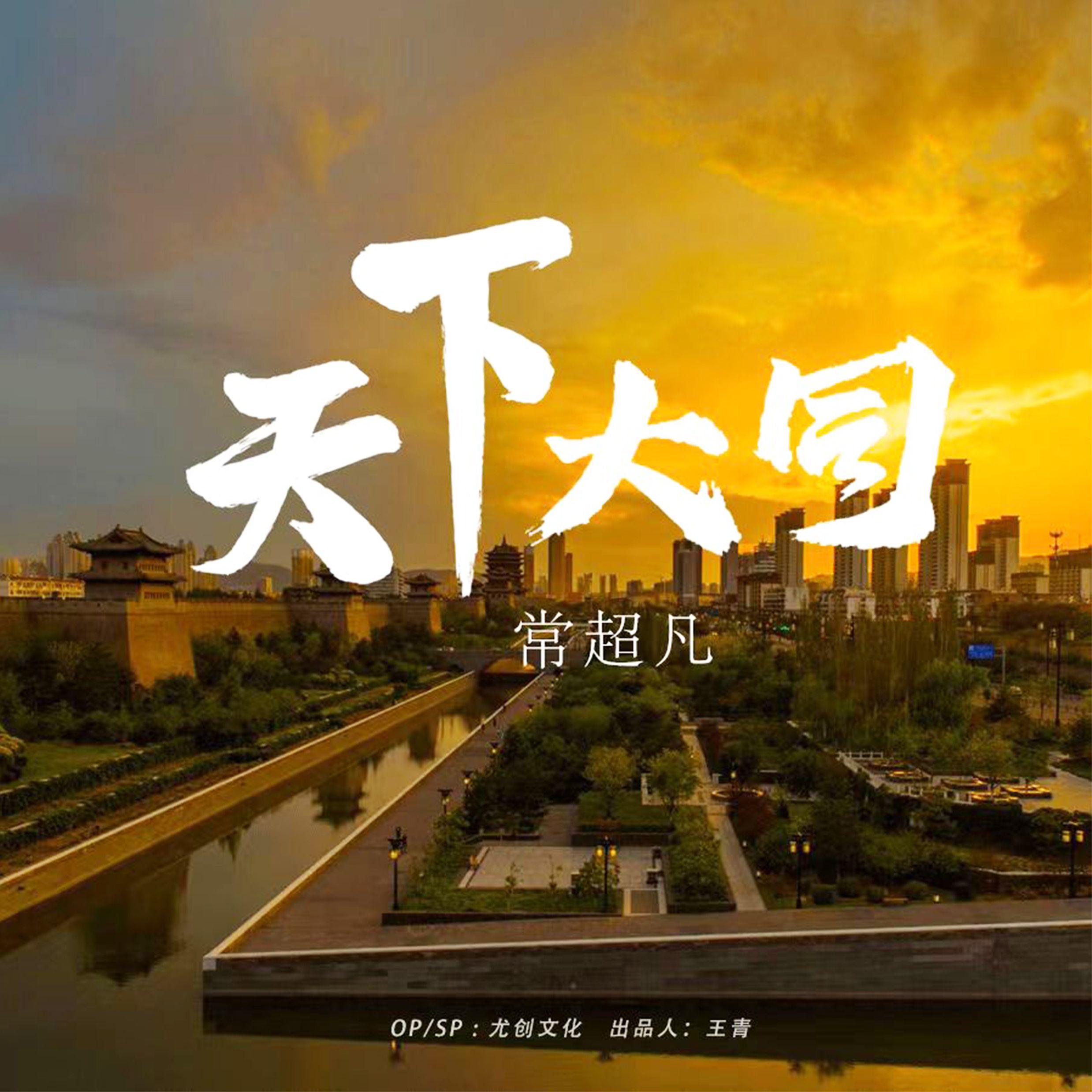 天下大同封面