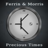 Ferrin & Morris - Precious Times (Discodyne & Flugschreiber Remix)