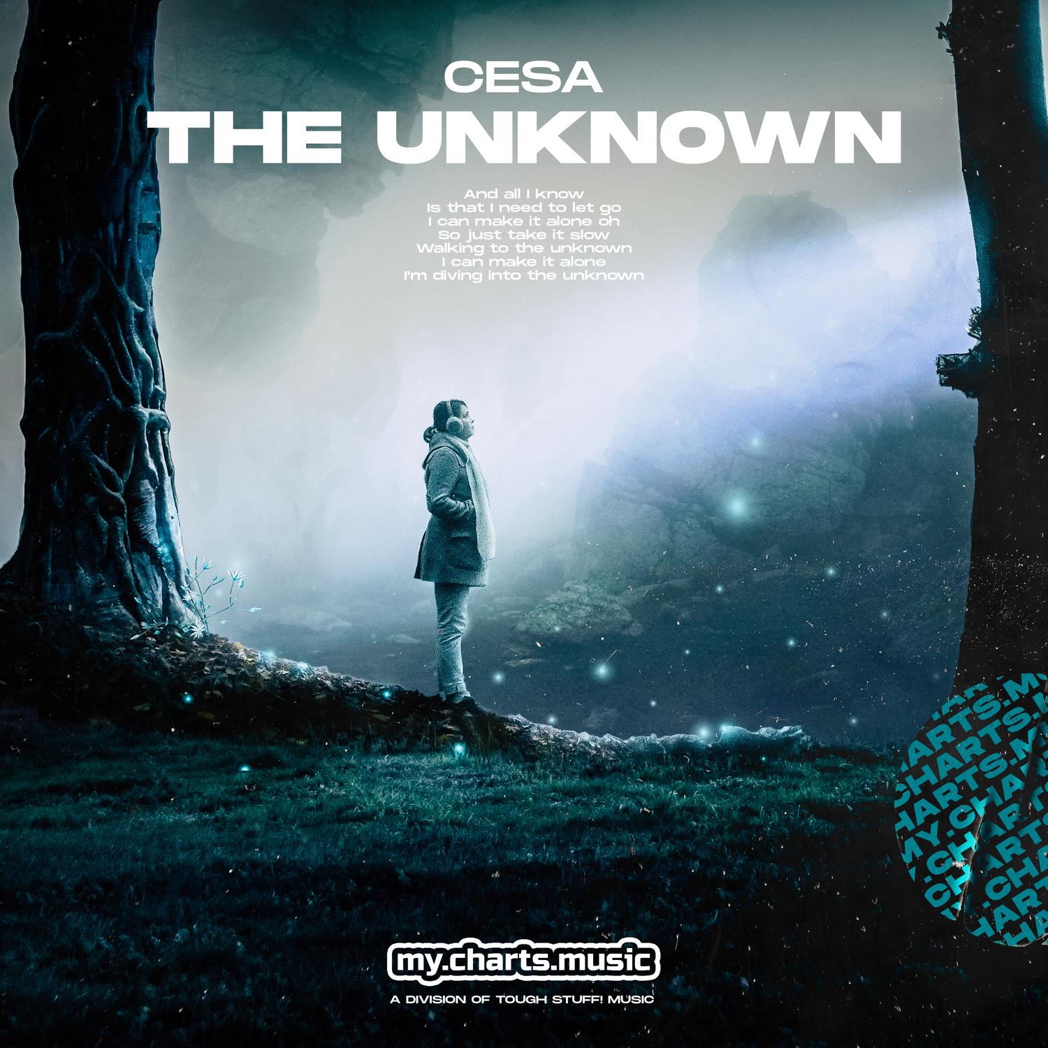 The Unknown