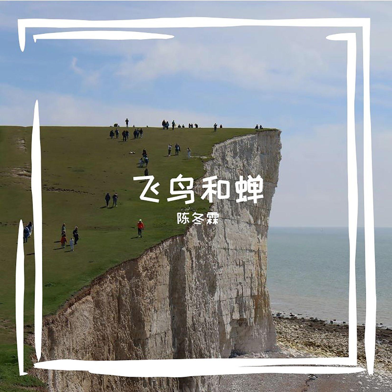 飞鸟和蝉封面