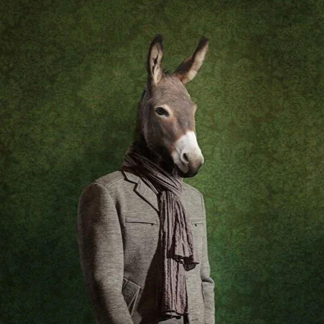 驴