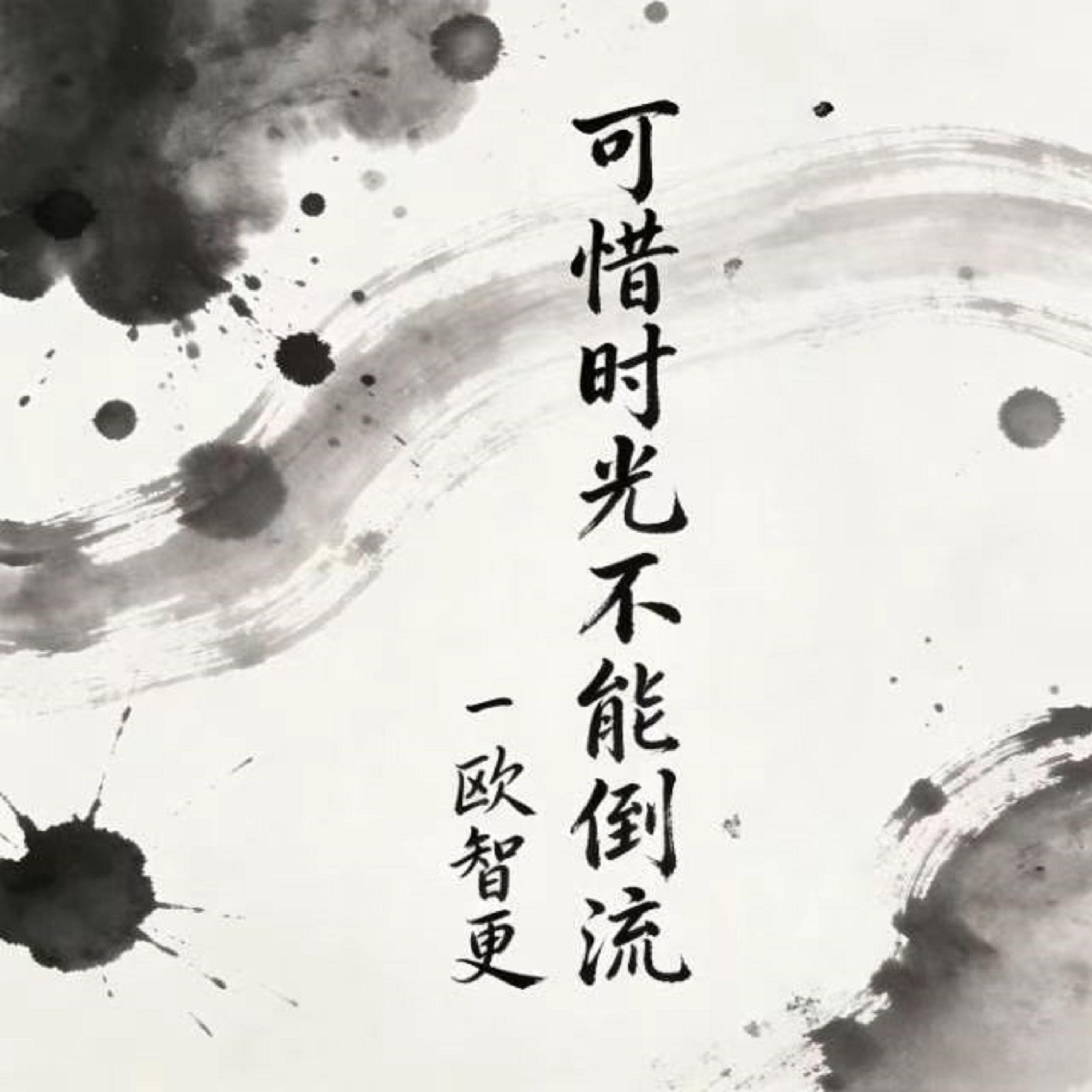 可惜时光不能倒流 (烟嗓版)封面