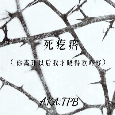 死疙瘩封面