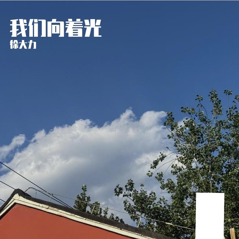 我们向着光封面