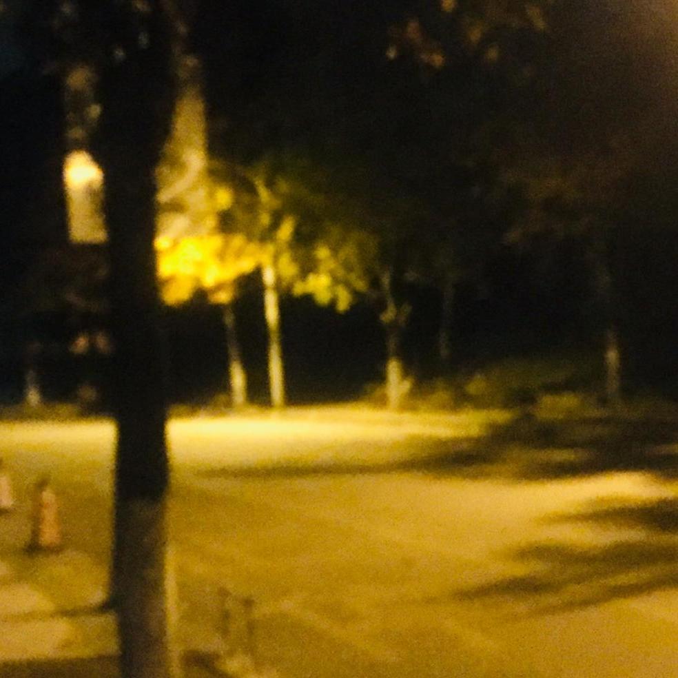 在寒冷的冬季也有暖意