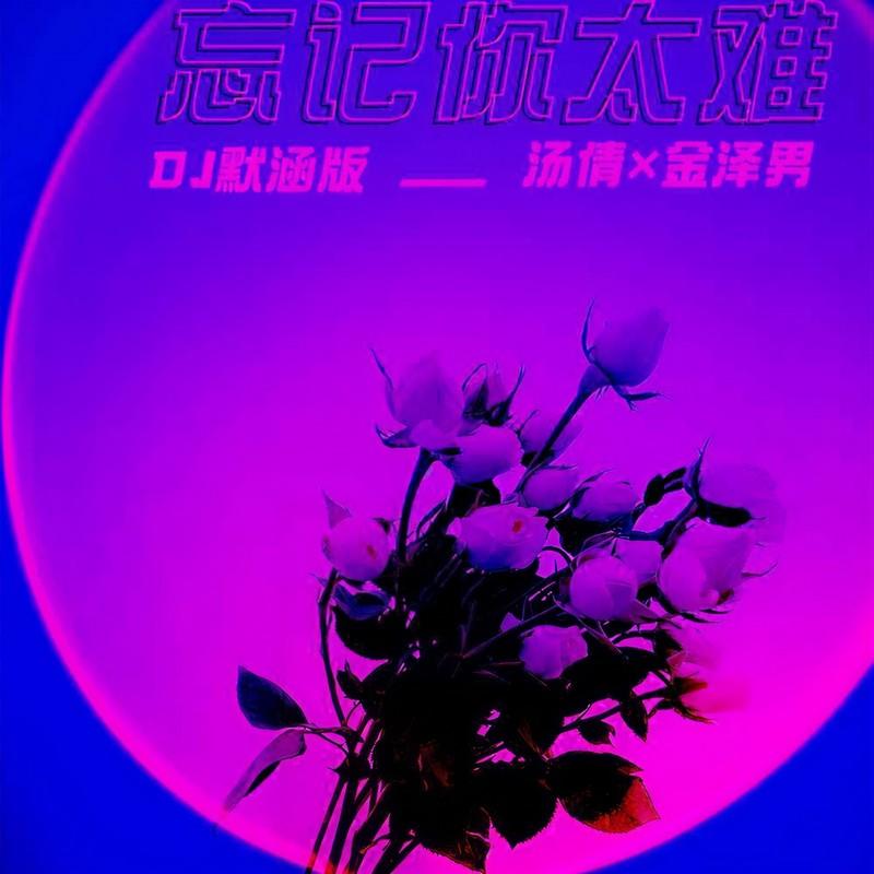 忘记你太难 (DJ默涵版) - 汤倩、金泽男封面
