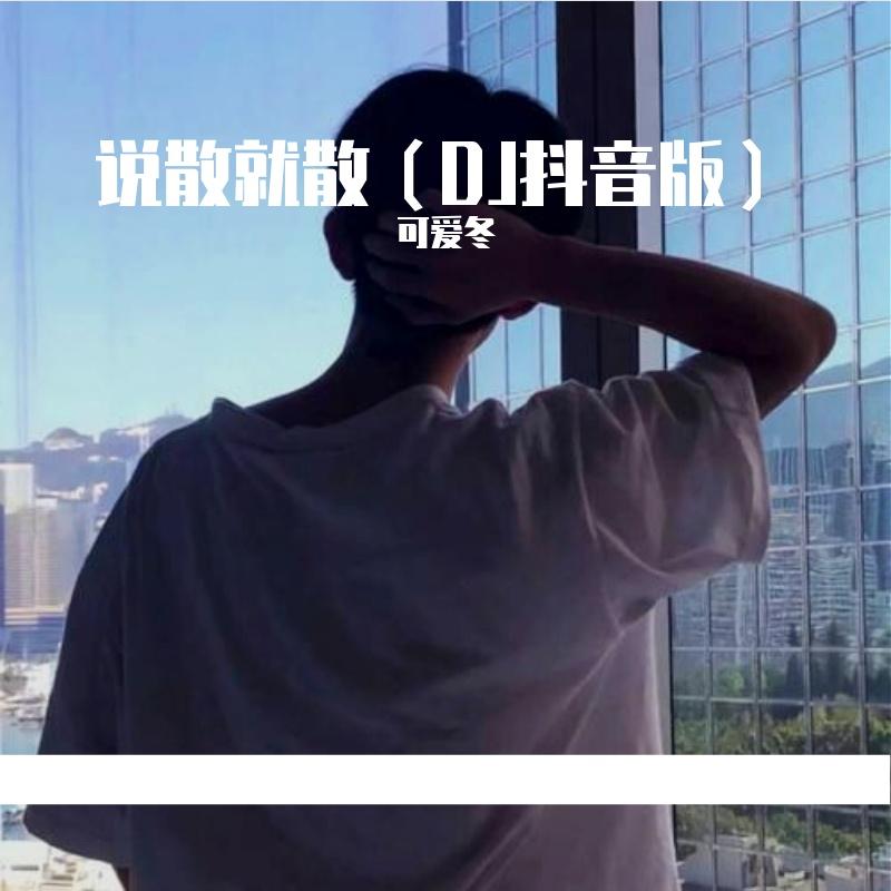 说散就散(DJ版) - 可爱冬封面