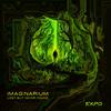 Imaginarium - Lost but Never Found (Original Mix)