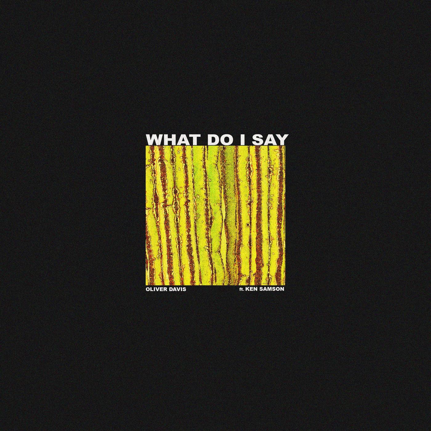 Would You (feat. Ken Samson)