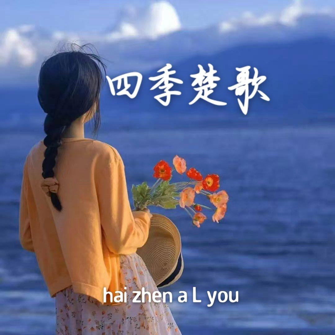 我还在等你 像等一场不来的雨（深情哀伤·治愈虐心版）封面