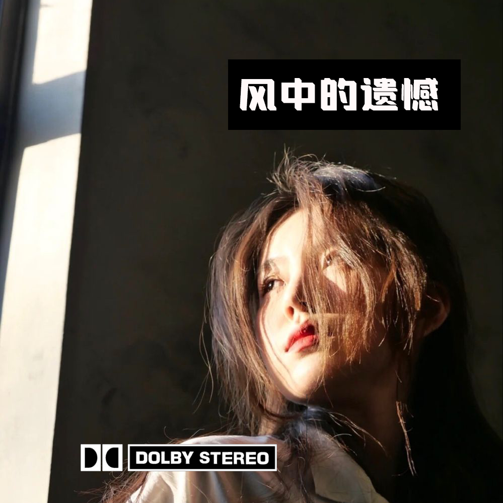 风中的遗憾 伴奏封面