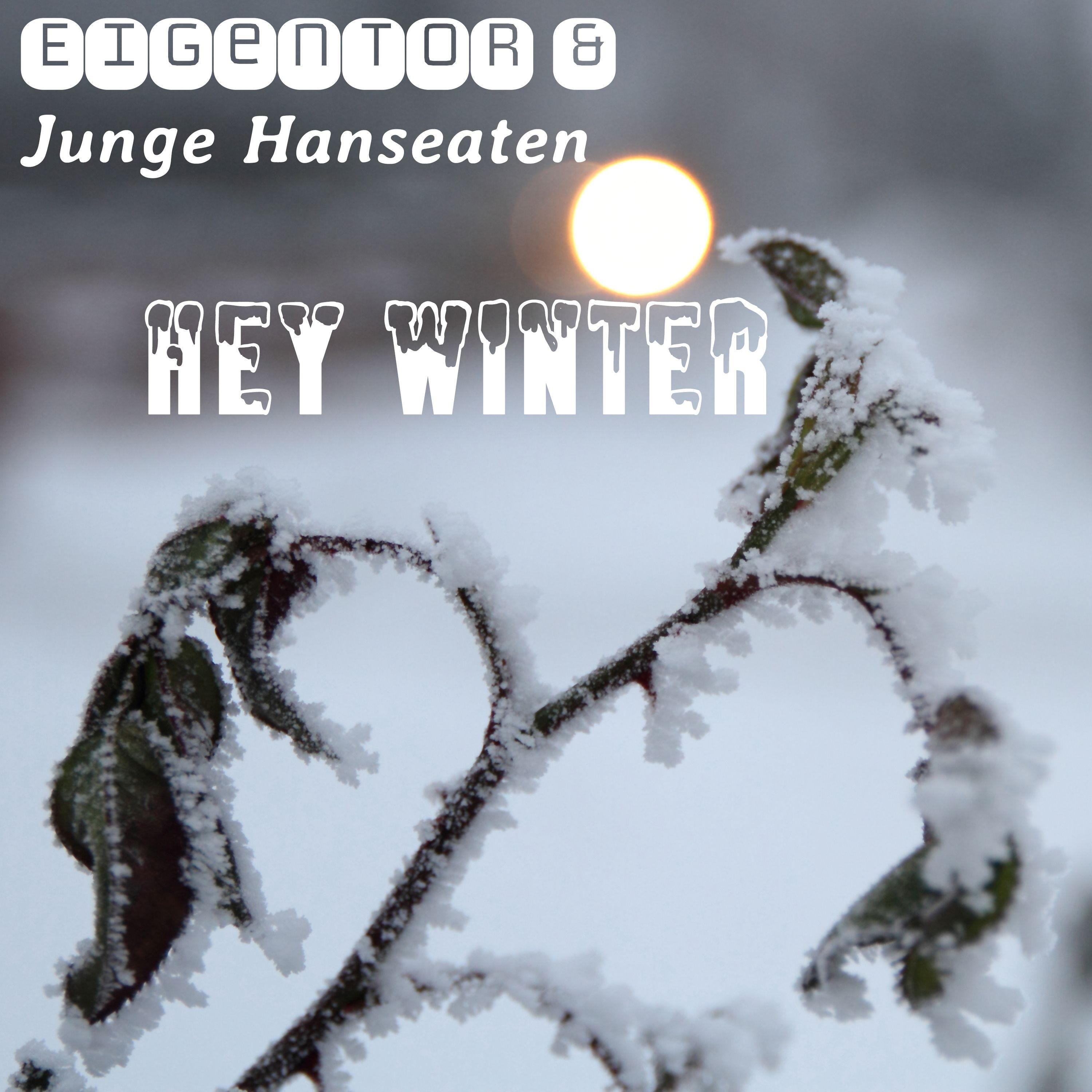 Vorfreude auf Weihnachten - Eigentor/Junge Hanseaten - 单曲 - 网易云音乐