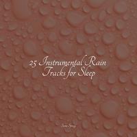 25 Instrumental Rain Tracks for Sleep