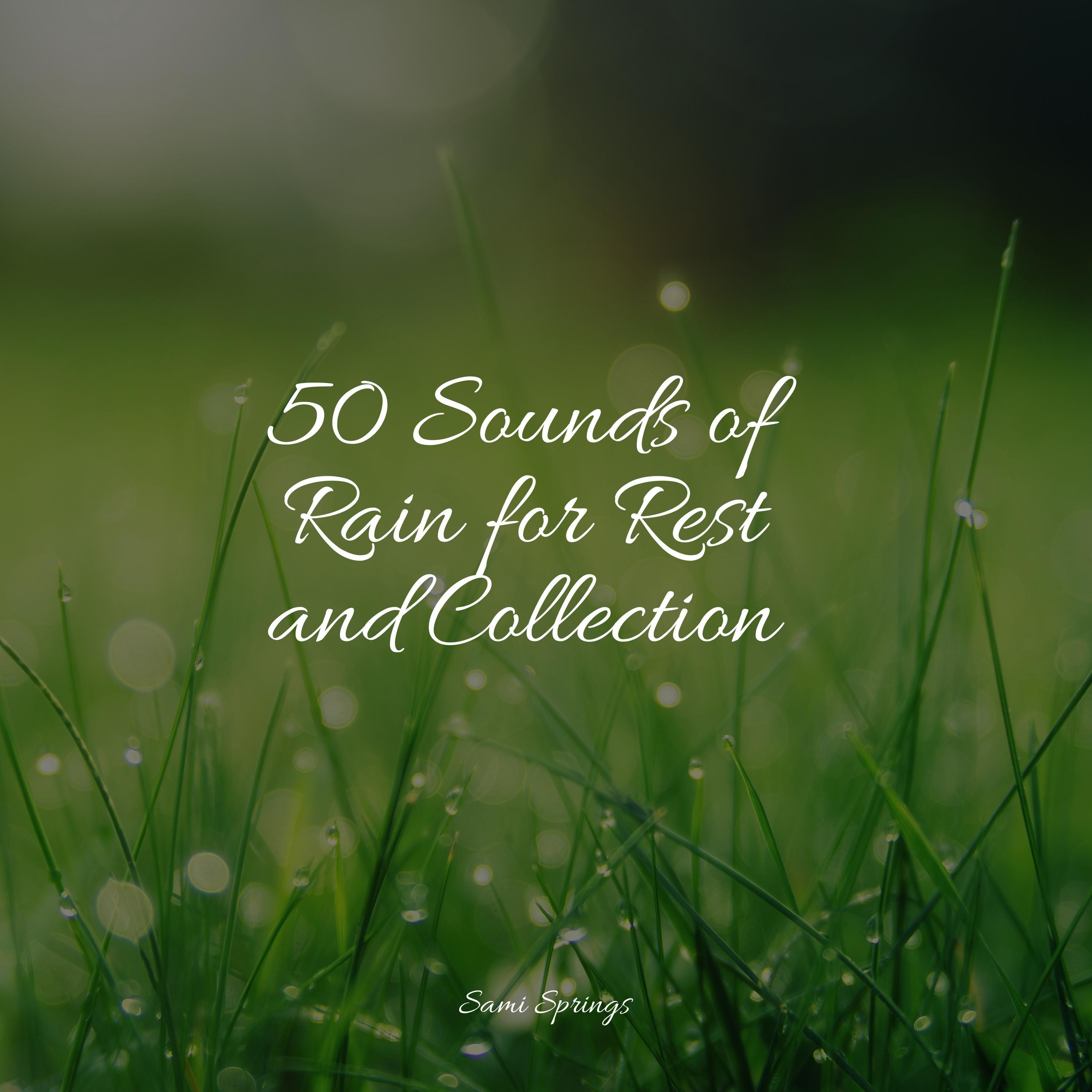 Calming Ocean Sound Healing Center/Best Kids Songs/The Rain Library
