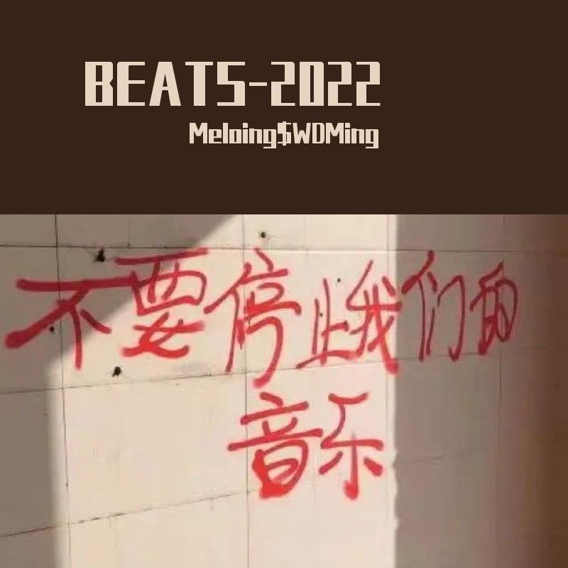 【免费非商用】Damnshine大傻一挑五Trap Beat