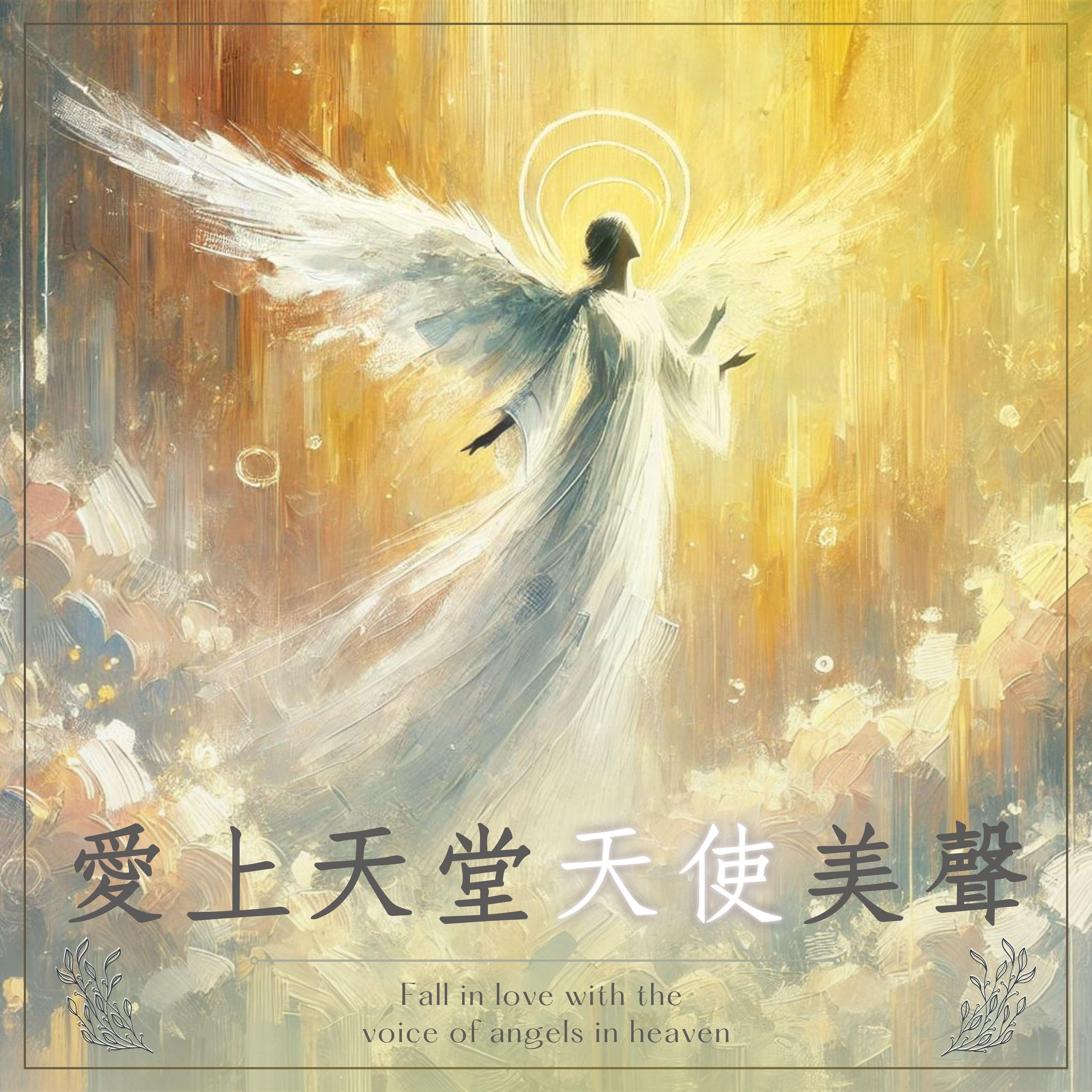 夜空天使在轻吟封面