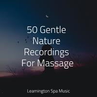 50 Gentle Nature Recordings For Massage