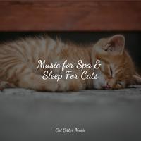 Music for Spa & Sleep For Cats