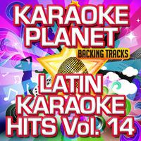 Latin Karaoke Hits, Vol. 14