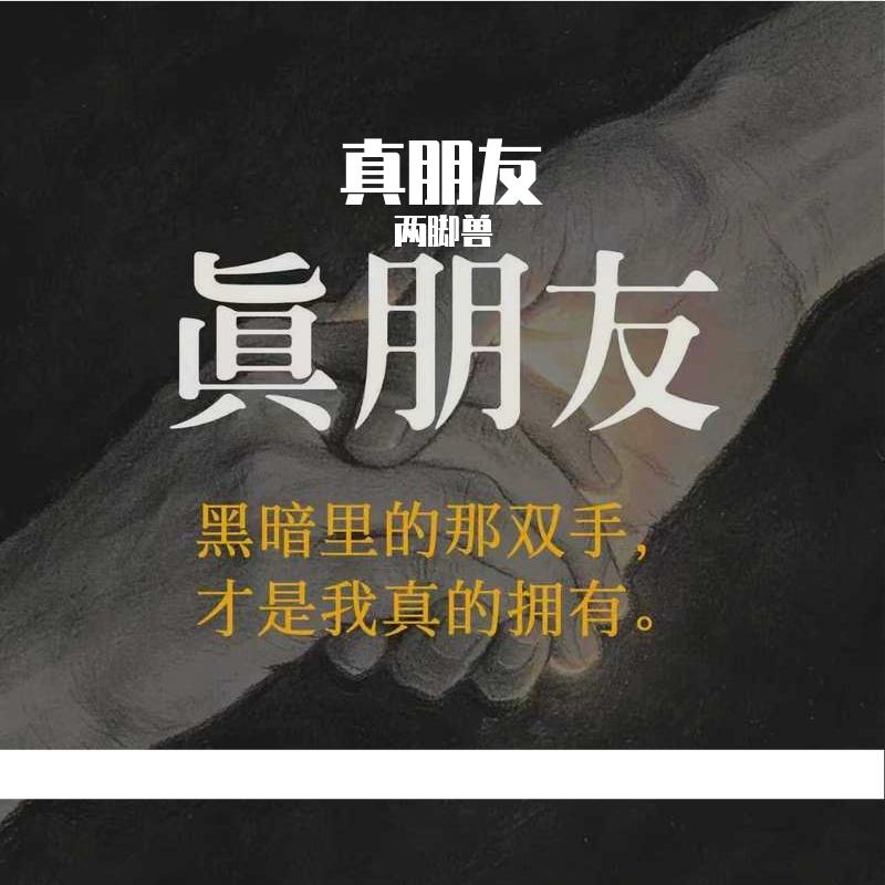 真朋友 - 两脚兽封面