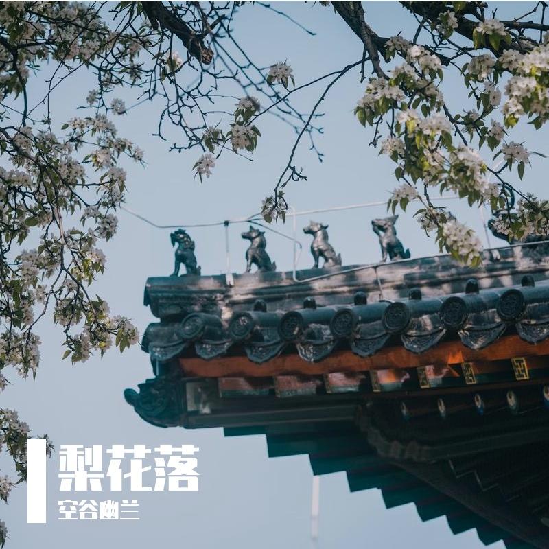 未命名 伴奏封面