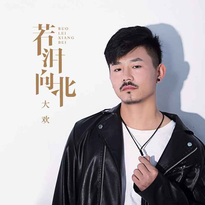 若泪向北封面