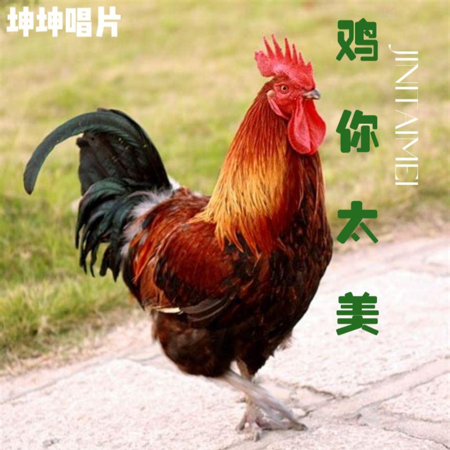 song-img