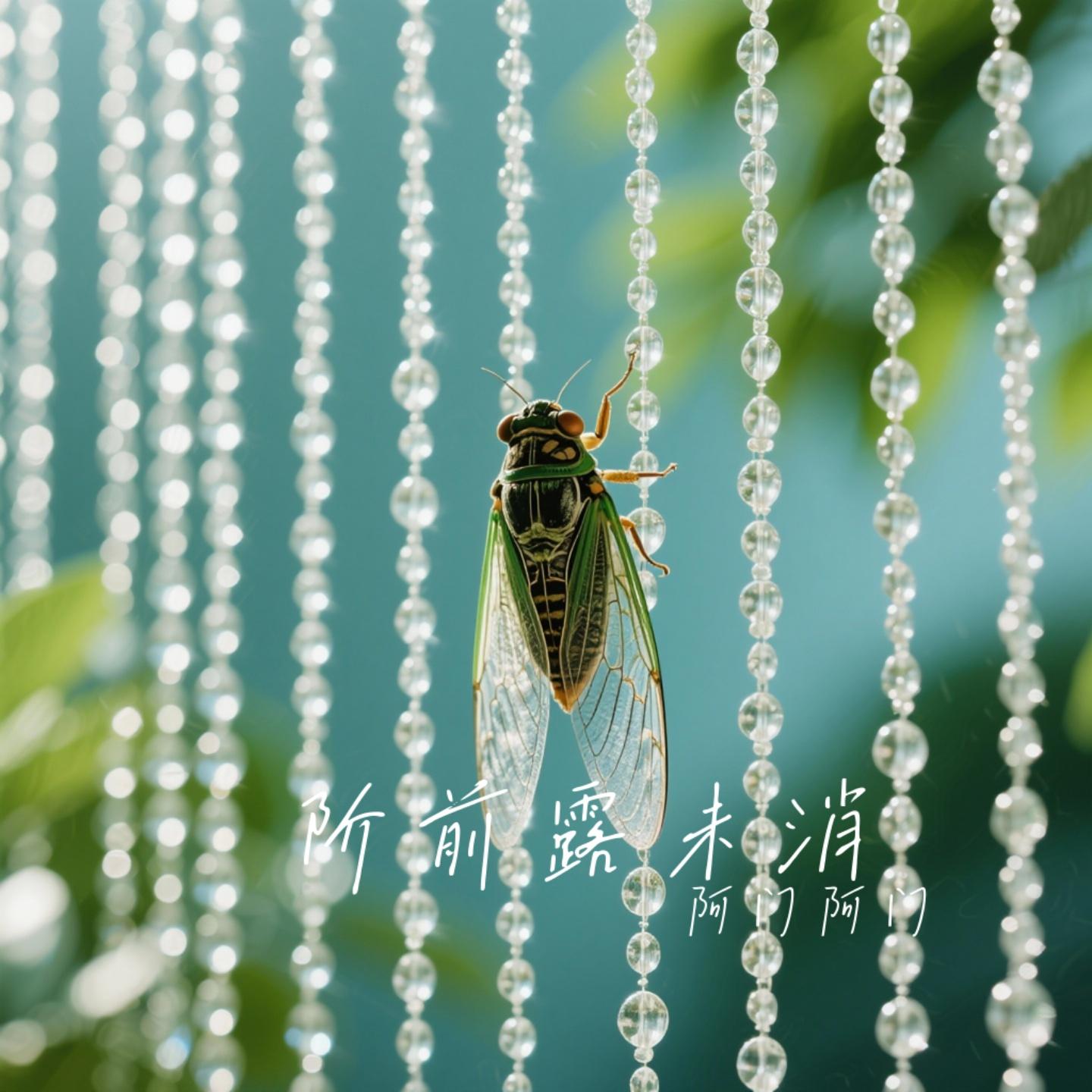 阶前露未消 - 阿门阿门封面