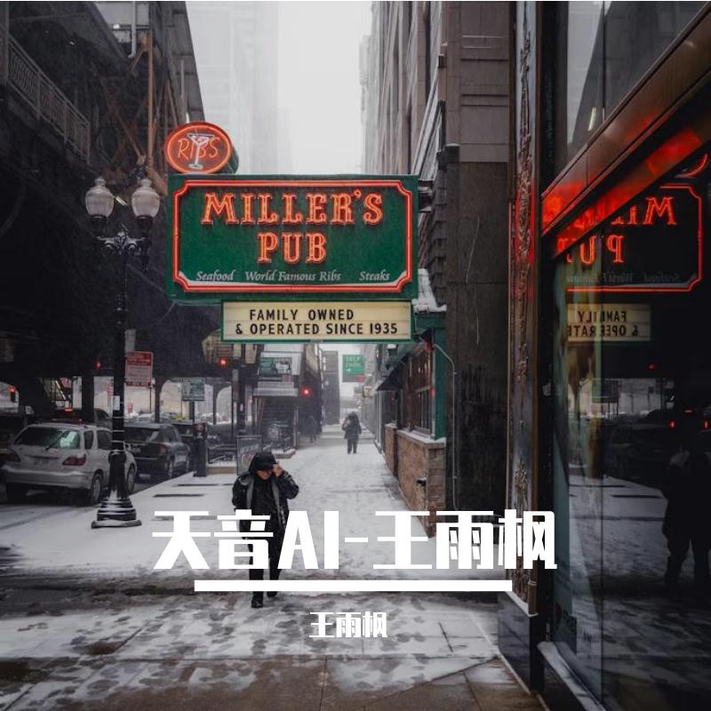 痴心错付 - 王雨枫封面