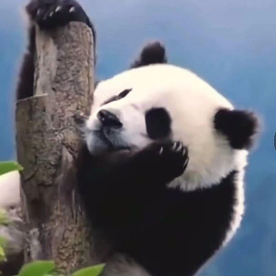 藏于心底的心愿封面