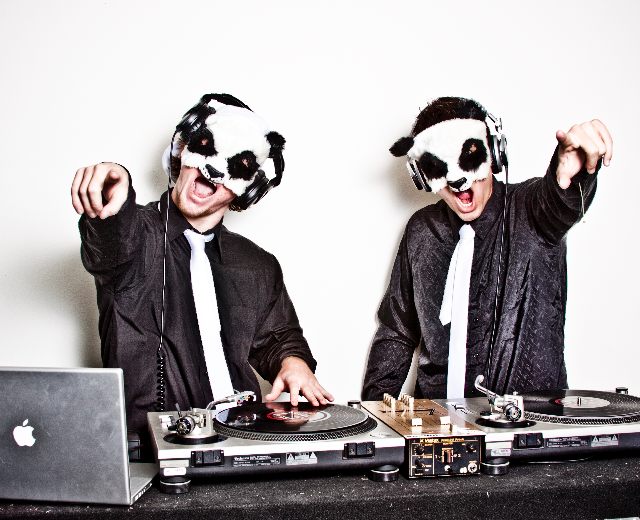 The White Panda