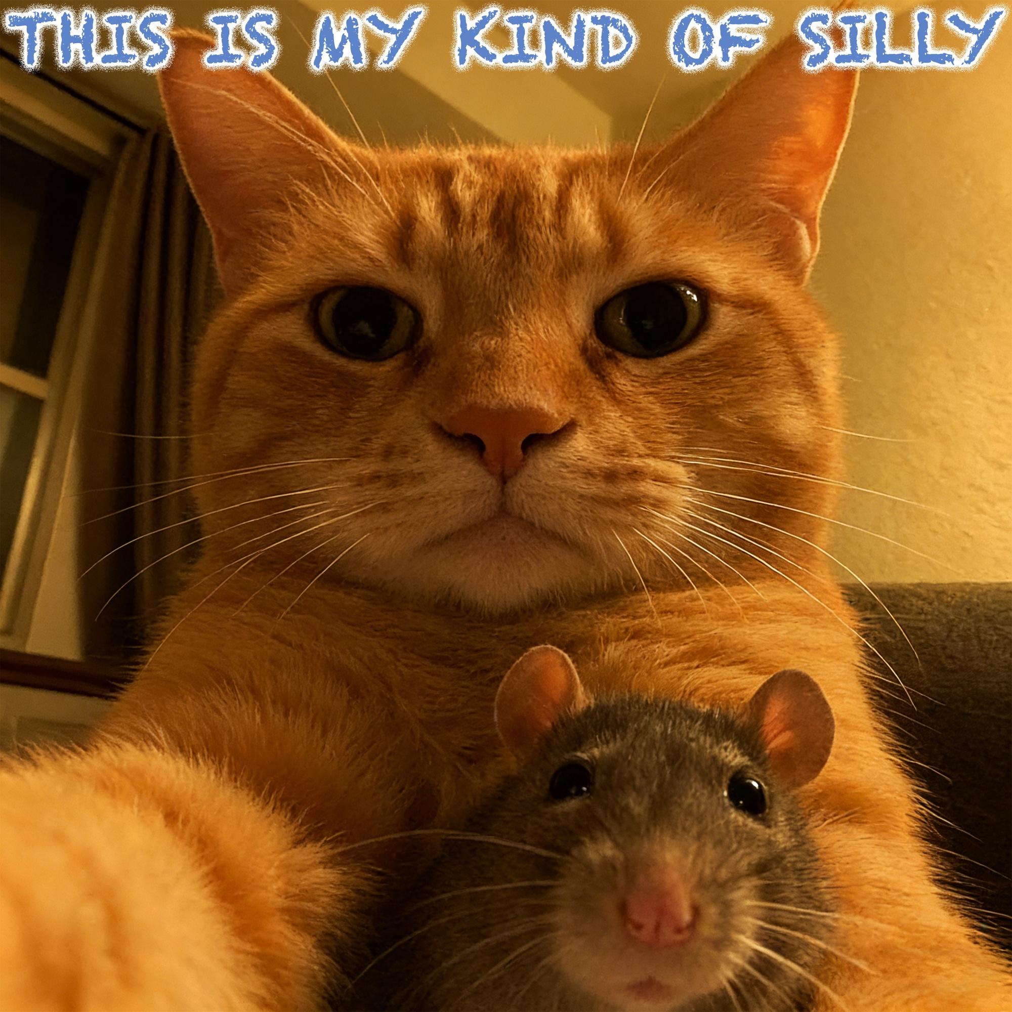 Just Kidding Keep Going