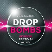 Drop Bombs Big Room Festival, Vol. 2