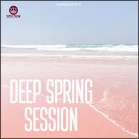 Deep Spring Session