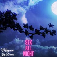 Sex All Night (feat. Jay Brooks)