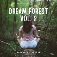 Sounds of Nature: Dream Forest Vol. 2