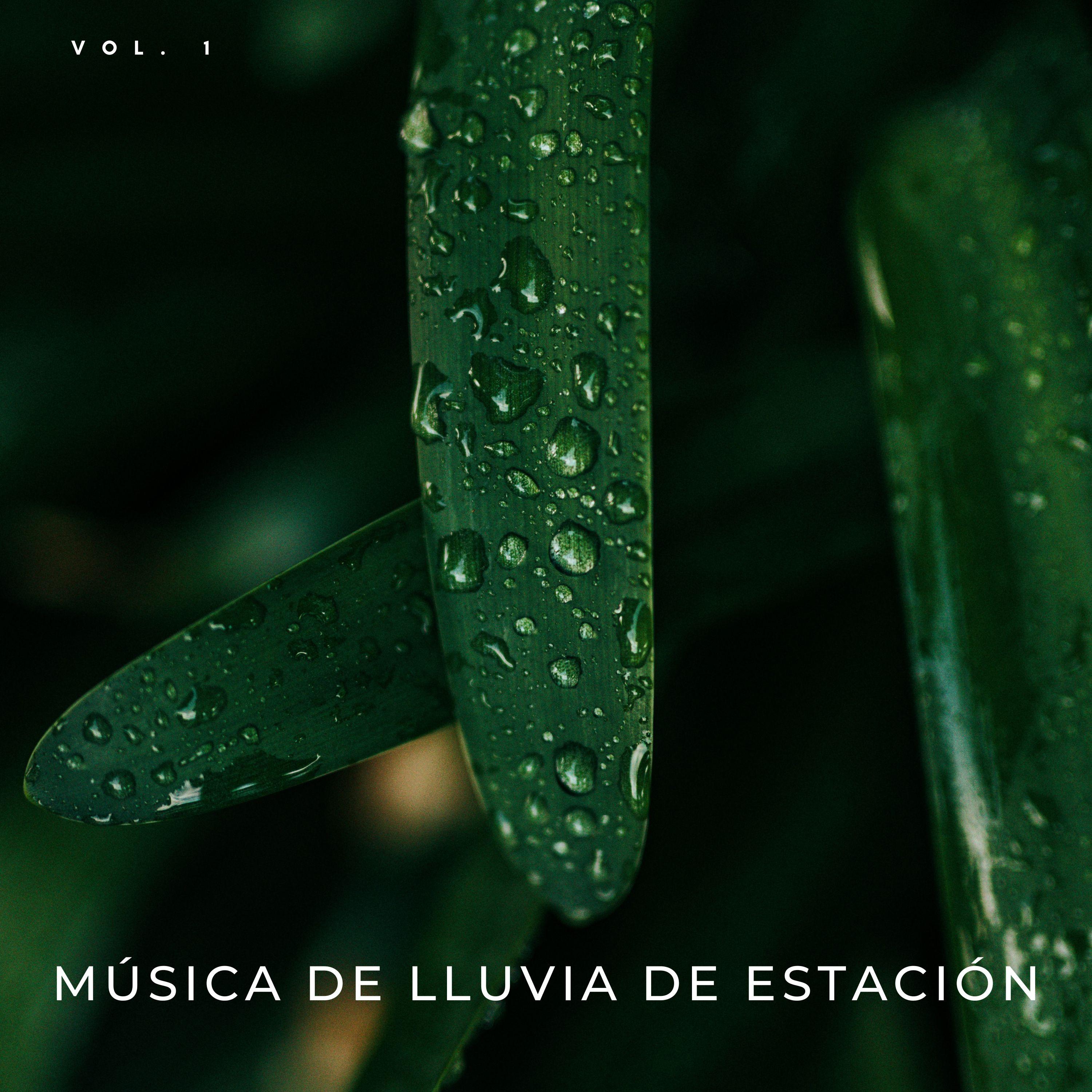 Sonido De Lluvia Relajante_Música de Estudio Relajante_Música De Lluvia De Estación Vol. 1 | 在线播放_Sonido De Lluvia Relajante歌词_Sonido De Lluvia Relajante下载 | 网易云音乐