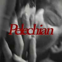 Pelechian