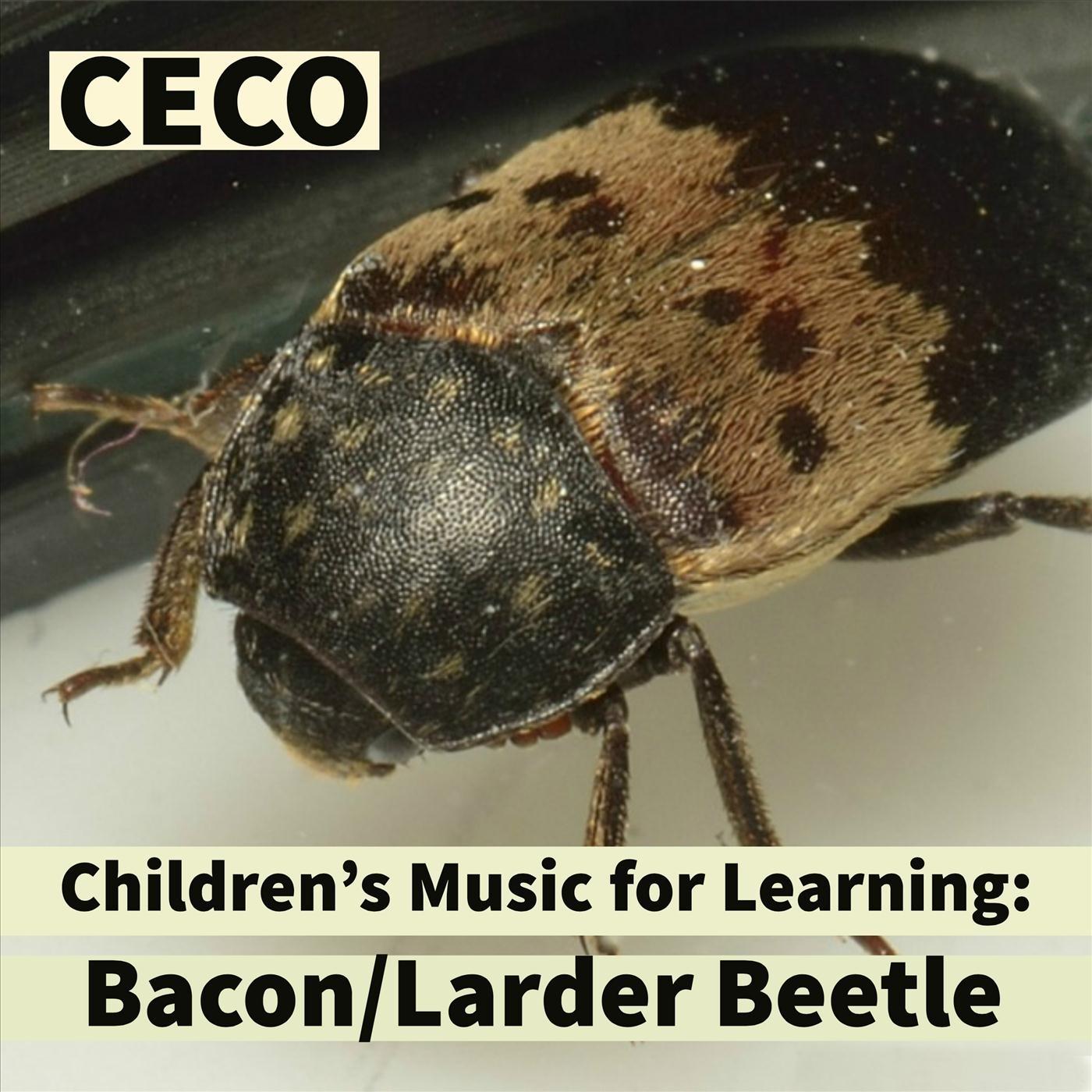 Children's Music for Learning : Bacon / Larder Beetle